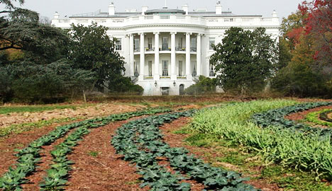 obama-garden